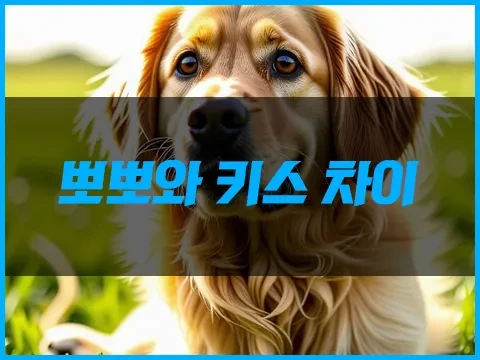 뽀뽀와키스차이.webp