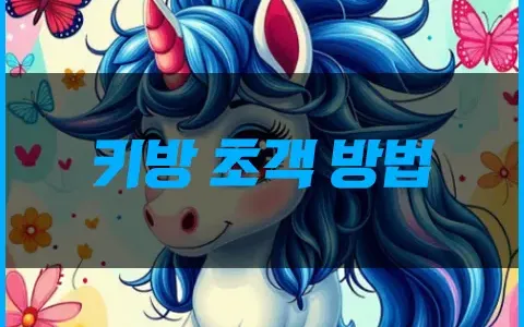 키방 초객 방법 이용 백서