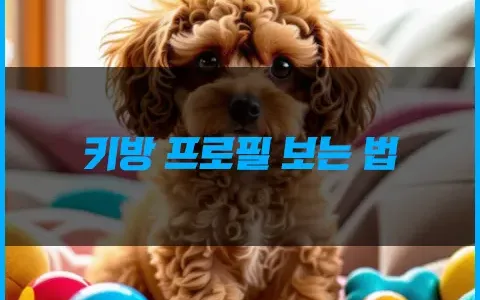 키방 프로필 보는 법 비법 공유