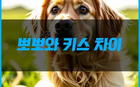 뽀뽀와 키스 차이 그리고 키스방
