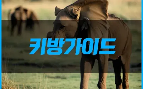 키방 가이드 키방의 모든 것