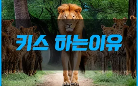 키스 하는 이유
