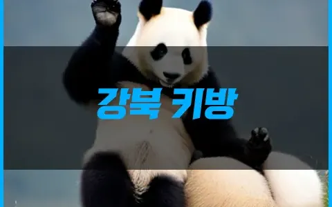 강북 키방 제대로 찾는 정보