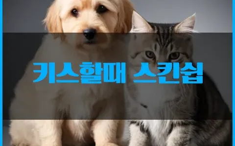 키스할떄 스킨쉽 어떻게?