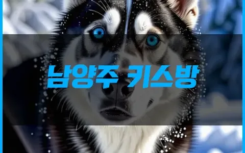 남양주 키스방 여기 주목 !!