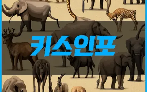 키스 인포 메이숀 (우리에게 필요한 정보)