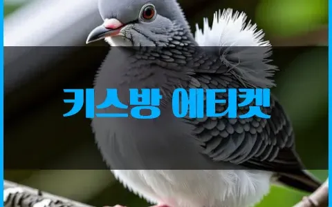 키스방 에티켓 매너가 사람을 만든다