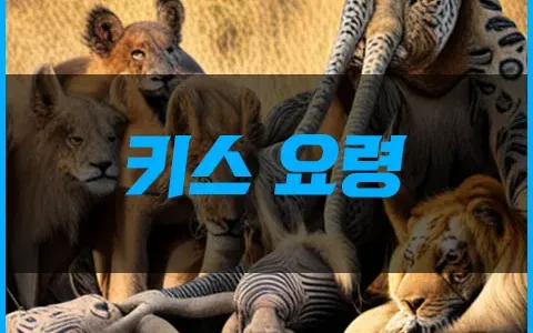 키스 요령
