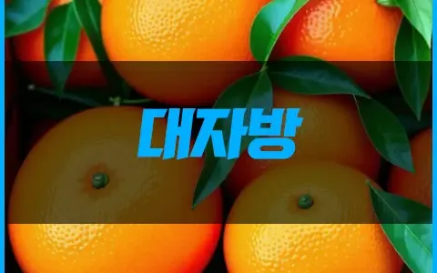대자방 그게뭔데?