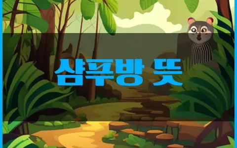 샴푸방 뜻