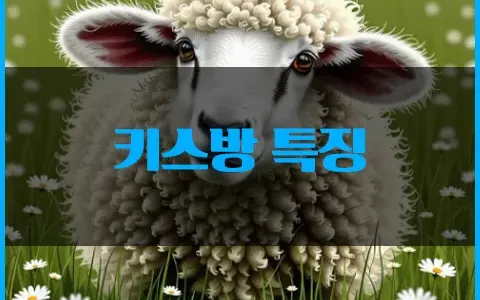 키스방 특징 특이점이 왔다