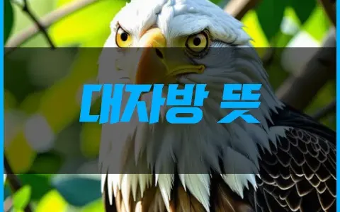 대자방 뜻 다알지만 제대로 알지못했던 것들