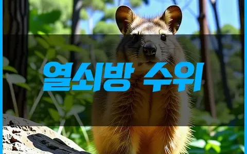 열쇠방 수위 컨트롤