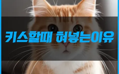 키스할때 혀를 넣는 이유